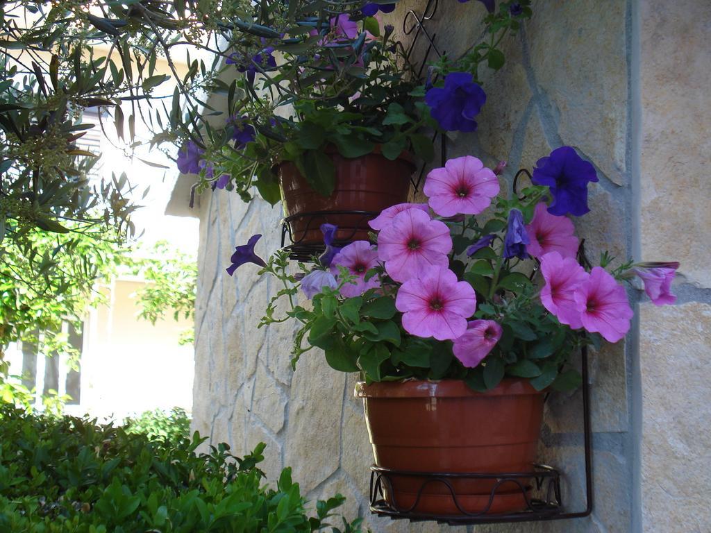 Apartments Villa Lilla Baska Voda Exterior photo